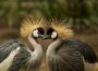 25 Weird But True Facts About Animals