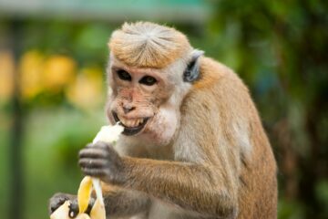 30 Funny Quotes That Will Make You Laugh Out Loud