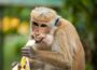 30 Funny Quotes That Will Make You Laugh Out Loud