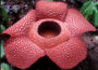 7 Amazing and Little-Known Facts About the World That Will Change How You See Nature